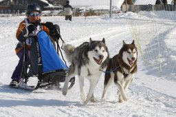 Lenk 2012 SM